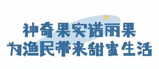 绝美秘境、海岸滑翔……万宁这个小渔村太适合度假啦！