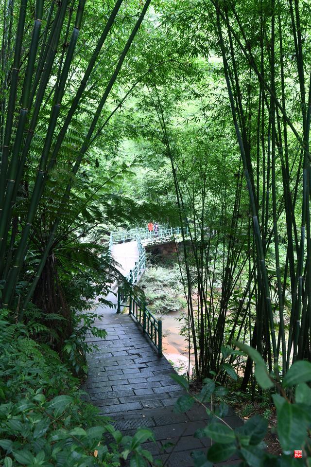 赤水四洞沟瀑布