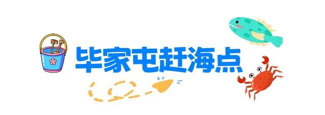 宝藏小城（荣成）漫游记 |想赶海！来荣成！