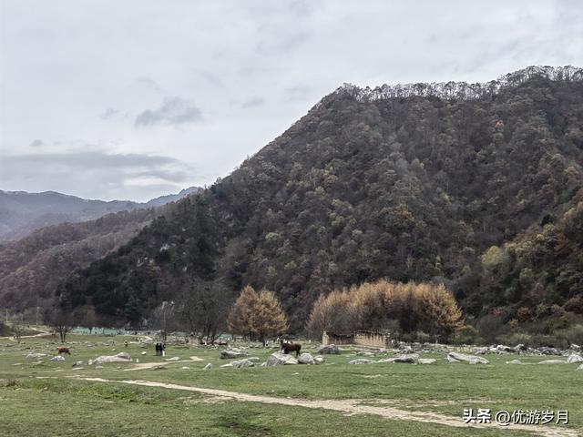 秦岭狮子沟牧场&牛奶湖