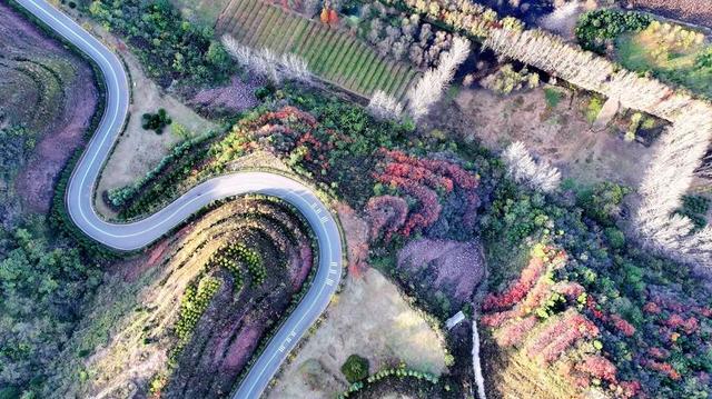 孟津区：黄河小浪底下游河岸别样冬韵