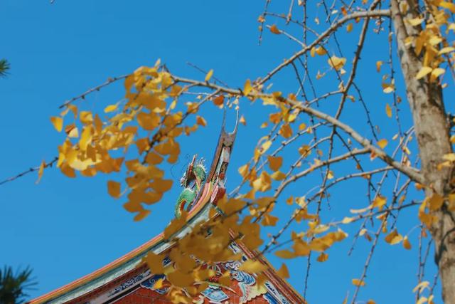 承天寺：藏在市中心的“山林”