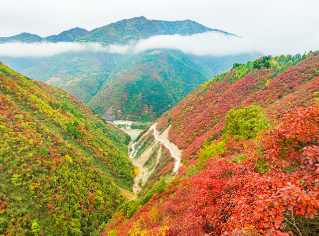 接下来的一个月，来汉中赏红叶就对了