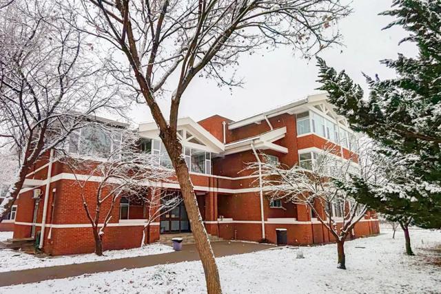 赴一场校园雪约,猜猜哪栋是你的 “温暖小窝”