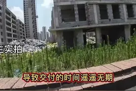 亮亮夫妇购买的郑州融创六期接近烂尾，业主现在才开始集体反转！图片