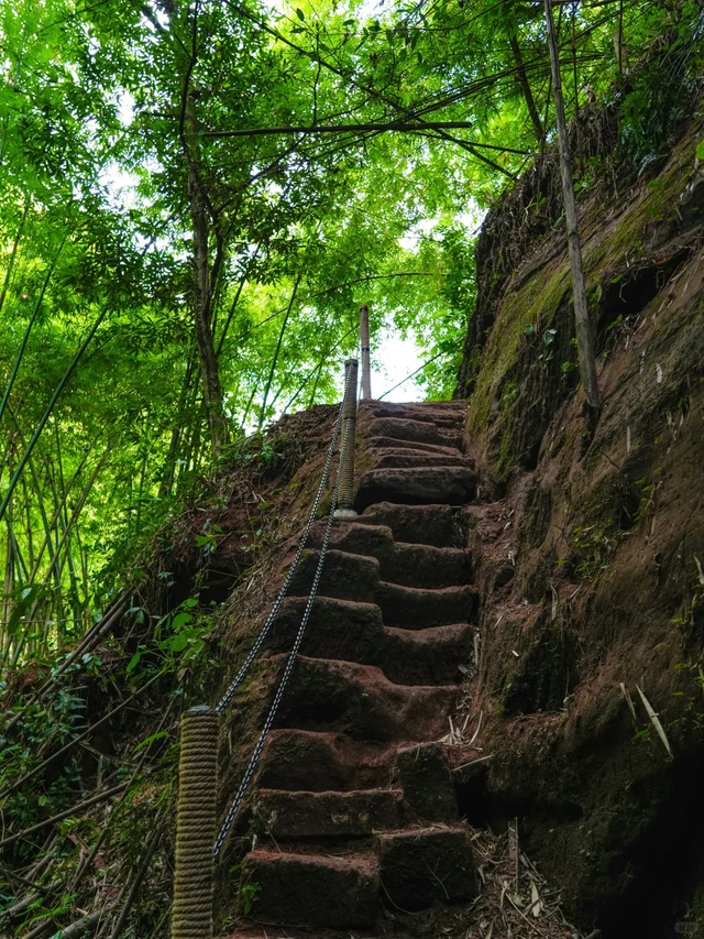 新发现的小众徒步路线！成都周边1.5h茶马古道，免费景美野趣十足