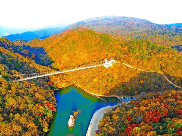 赏秋正当时!自驾来汉中,赴一场秋日视觉盛宴~