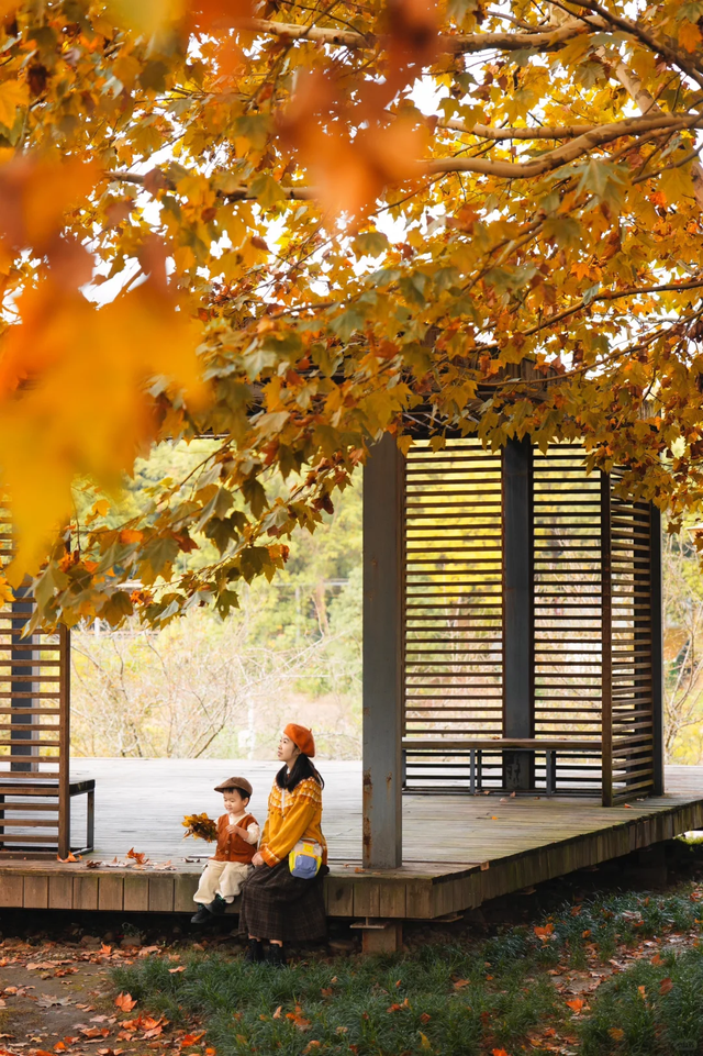 成都这个公园胜过绕城绿道，含氧量达100%，地铁3号线直达！