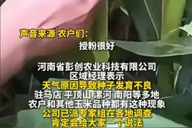 事大了！河南多农户称种子有问题，庄稼减产绝收！厂家归咎天气图片