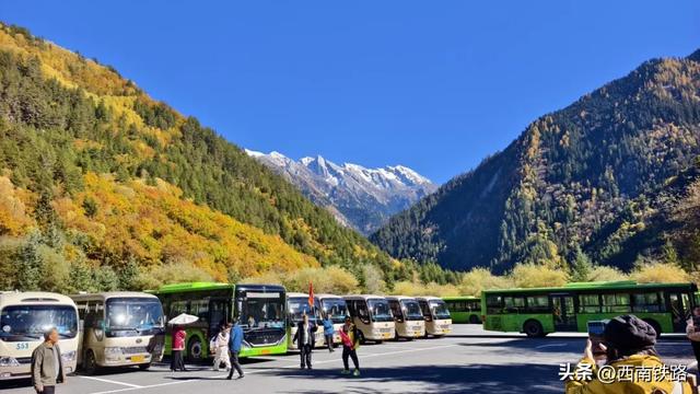 动车出行有多火?这个景区打破40年客流量纪录!