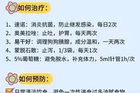 狗狗胰腺炎症状+治疗+预防图片