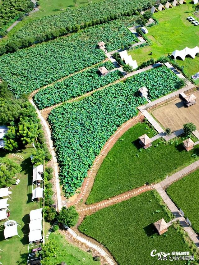 武汉蔡甸新增国家3A级旅游景区