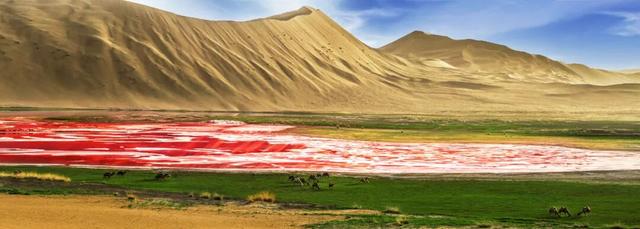 走进魅力北疆 遇见金色阿拉善