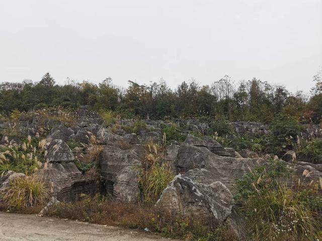 遵义绥阳：深山秘景“崖上秋歌”