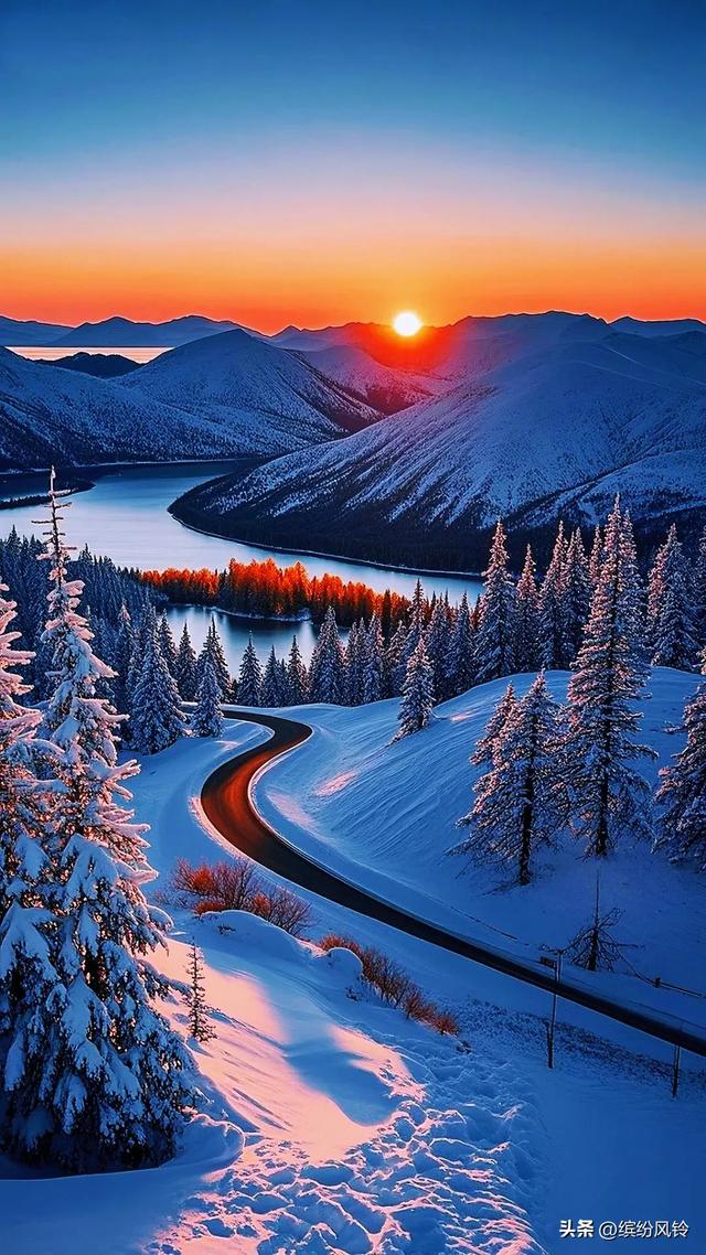 雪裹秋光，树栖金芒