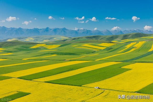 青甘环线8天，手机里存满了盐湖、戈壁、沙漠的照片，确实很美的