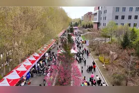 花开吉林|长春财经学院首届梅花文化节盛装启幕图片