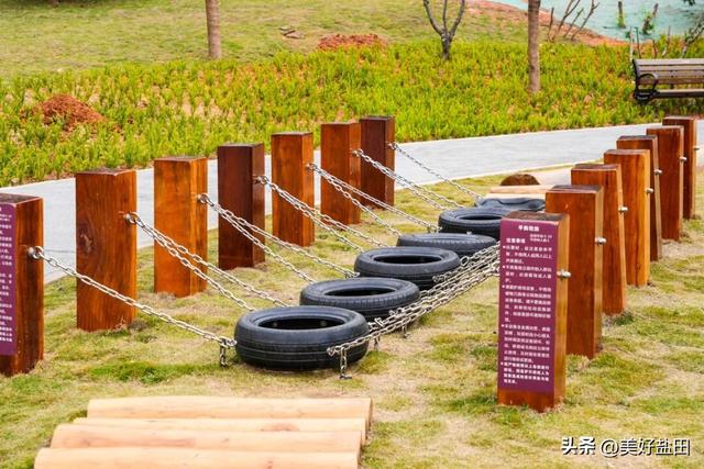 二刷、三刷……遛娃党解锁恩上湿地新玩法！