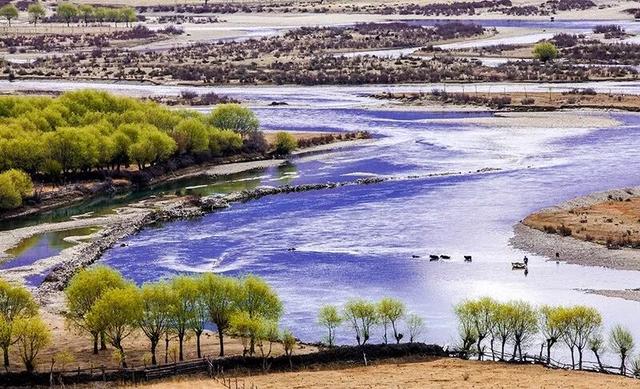 林芝凭什么是“西藏江南”？答案在这里。