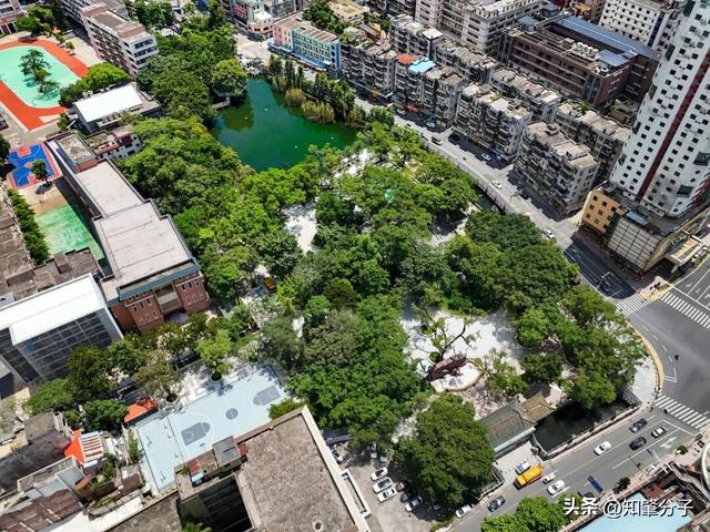 东莞这座百年公园解锁 “新画风”，颜值功能双升级→