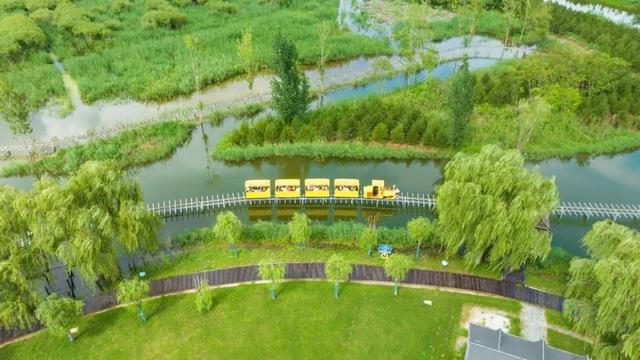 何处不是浪浪山？东平湖景区邀你：来这里，把日子浸成湖风里的诗