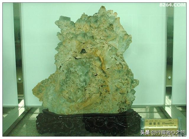山东行游影记（31）—平邑天宇自然博物馆（六）