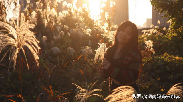 不用去南京，长沙也藏着 “梧桐秘境”！遛娃拍照美到窒息！