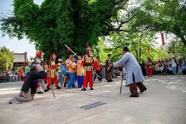 古槐屹立岁月悠、枝繁叶茂诉千秋