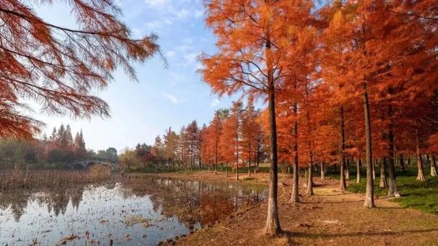 我说白了，萧山你是不是有点过分了！