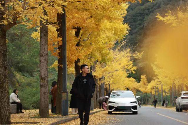 秋日限定“皮肤”上线，藏蓝连接成功