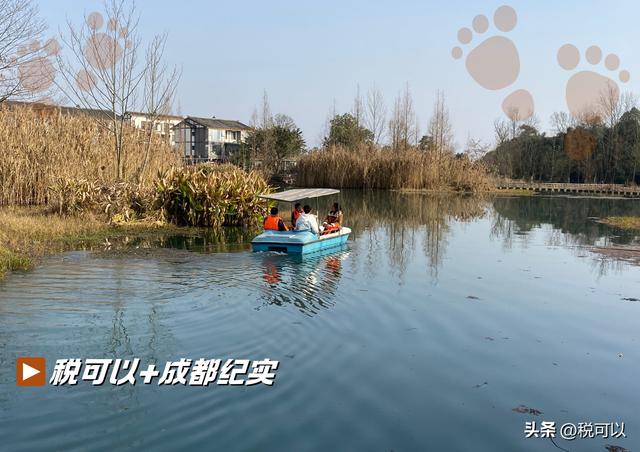 到温江幸福田园郊游，看乡村湿地美景，火车主题餐厅让人怀旧
