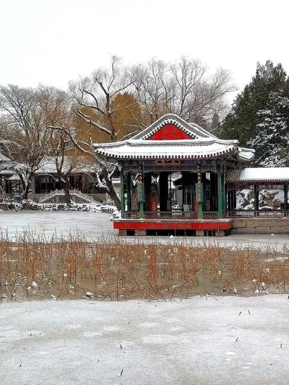 雪迎2026：颐和园又见素裹银装，半城惊鸿