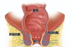 有癌，“菊花”先知？医生：肛门若常有这些不适，警惕癌症在靠近图片