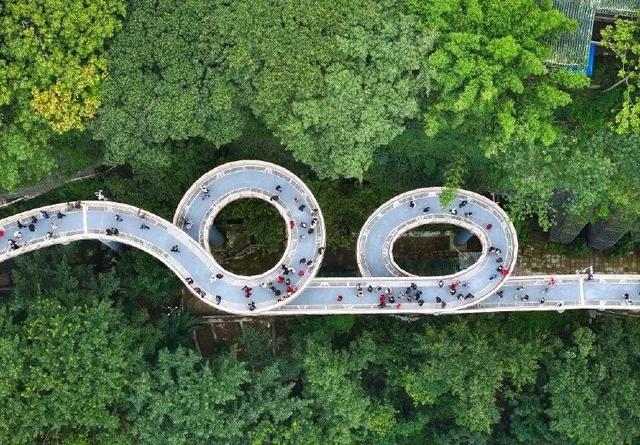 日均3万人次打卡！重庆这个新晋网红打卡地超绝C位视角，可以俯瞰嘉陵江+对望单轨穿楼！