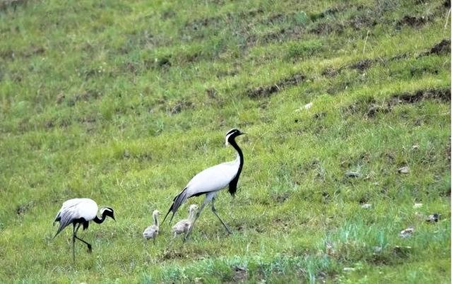锡盟新增3家4A、3A级景区！
