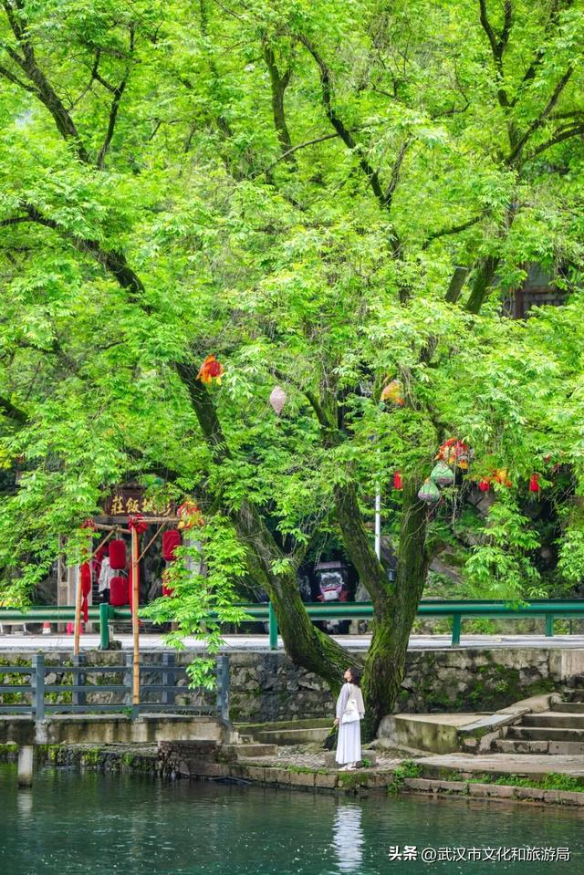 直冲30℃，咸宁请客，出来玩！