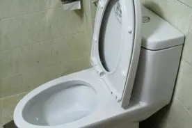 马桶，别买太贵的，选对这几个方面，买500元的就够用图片