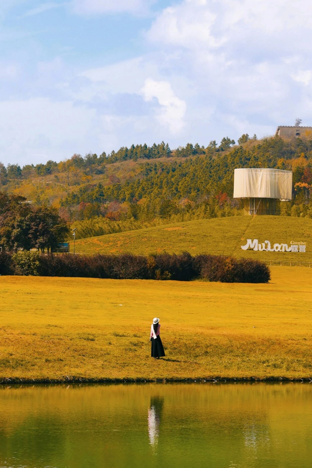 寒潮要来！黄陂最后的秋色等你来打卡！