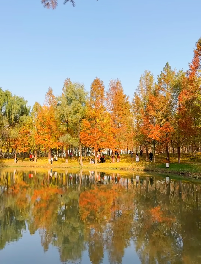 西安城区4个绝美秋景打卡地！