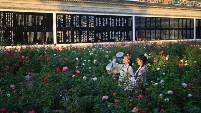 拟举办烟花汇演！非遗、退税、全运福袋……暖冬消费季更多福利→