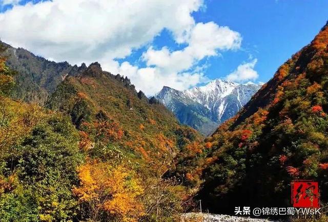 速约！平武彩林秘境进入最佳观赏期，就等你了
