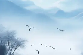 白居易：一首“鸟”诗，短短4句，藏着做人的大道理图片