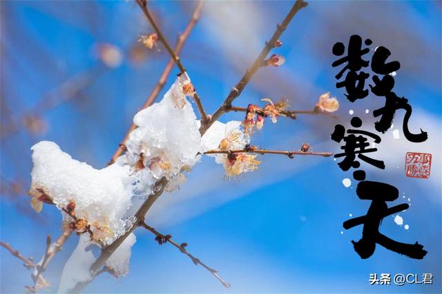 “白天冬至，单衣过冬；晚上冬至，冻死老牛”，今年冬至在何时？