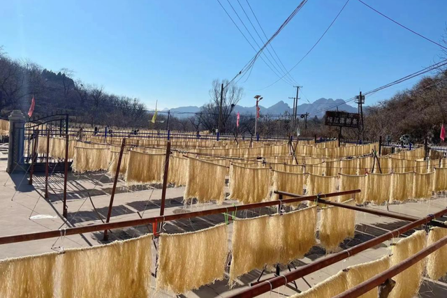 这个周末去哪？你有一份来自东桥的春日“邀请函”！（转发送好礼）