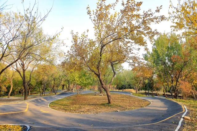 藏不住的惊艳！这座公园正处颜值巅峰