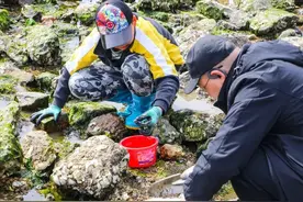 现捞现歹！“赶”紧来！图片