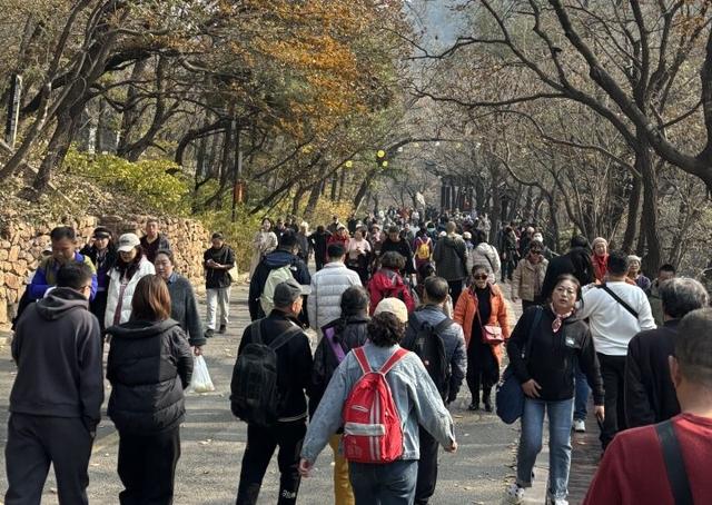 No.1！鞍山登携程国内订单增长榜第一