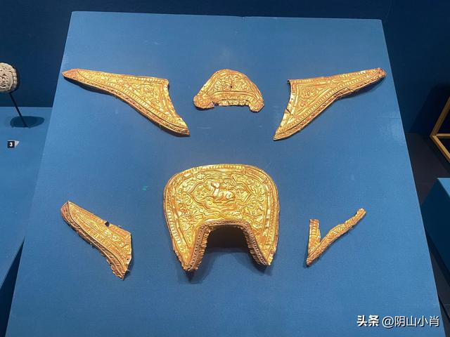参观内蒙古博物院新馆