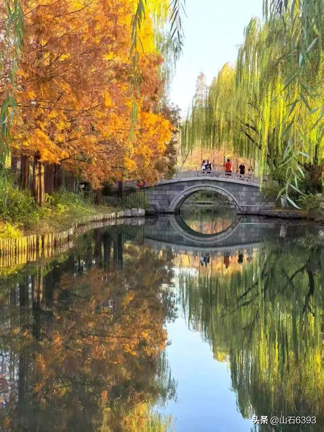 新华社原军事记者陶俊峰泉城美拍：《初冬大明湖晨曦美景》