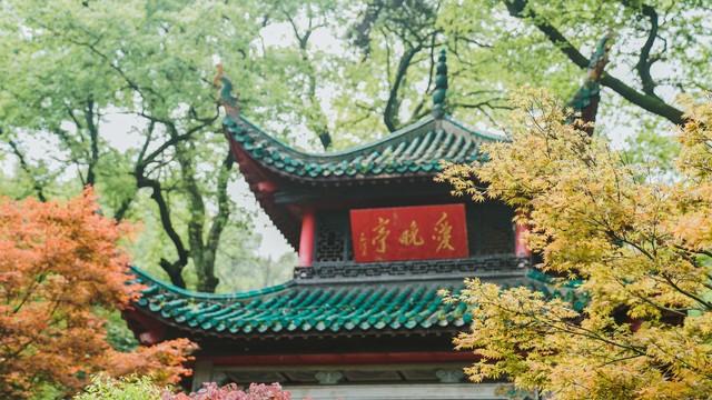 长沙岳麓山避坑指南｜本地人熬夜整理，拒绝（人挤人+踩雷）攻略